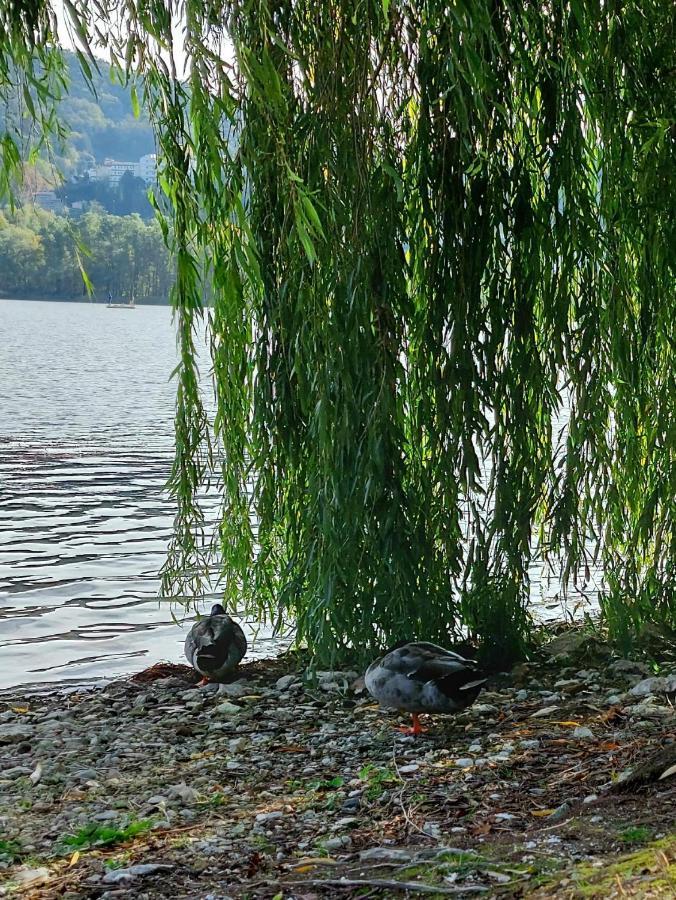 I Gelsi - Holiday Home Lago  Zewnętrze zdjęcie